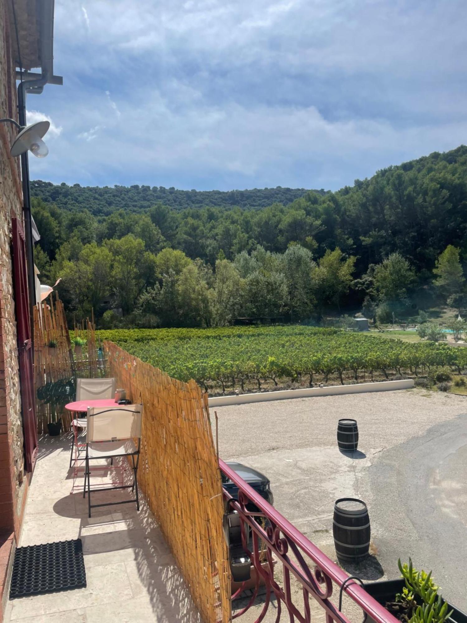 Appartement Au Calme Au Milieu Du Vignoble De Gigondas Eksteriør bilde